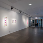 Exposition Marine Bouilloud Galerie Pictura 2026